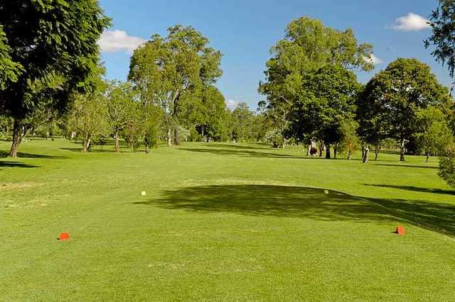 Maclean Golf Club - photo 5