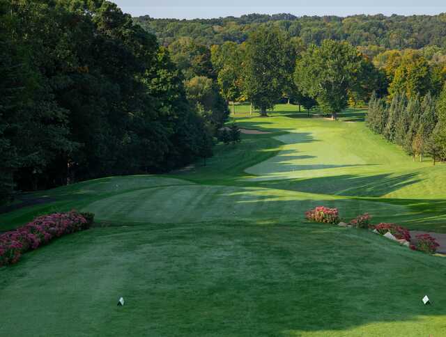 Lynx GC - photo 3