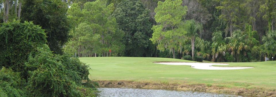Seven Springs Golf and Country Club, Champion Course - photo 6
