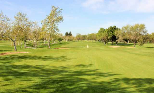 Cherry Island Golf Course - photo 3