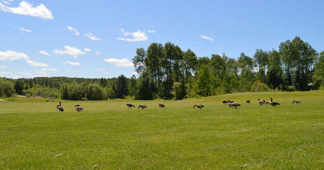 Mattawa Golf & Ski Resort - photo 2