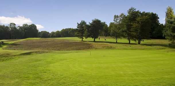Piltdown Golf Club - photo 8
