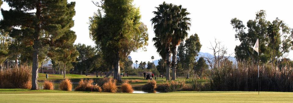 Toka Sticks Golf Club - photo 6