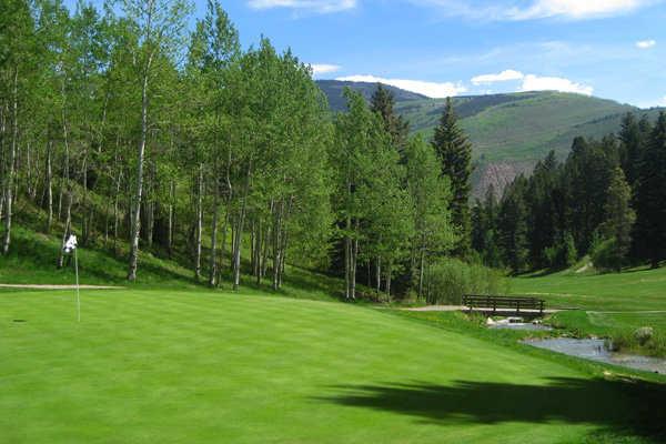 Eagle Vail Golf Course - photo 6