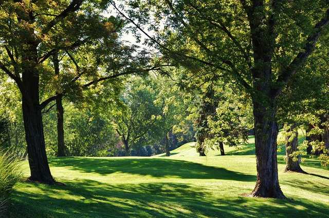 Tanglewood - photo 3