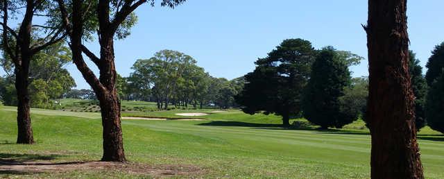 Cabramatta Golf Club - photo 3