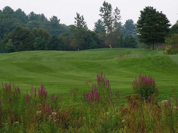 Blue Shamrock Golf Club - photo 6