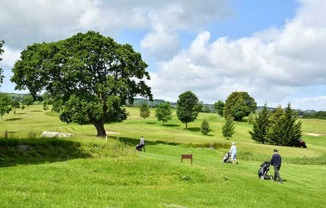 Flint Mountain Park Golf Course