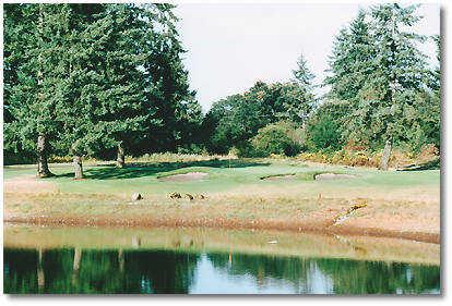 Stone Creek Golf Club - photo 7