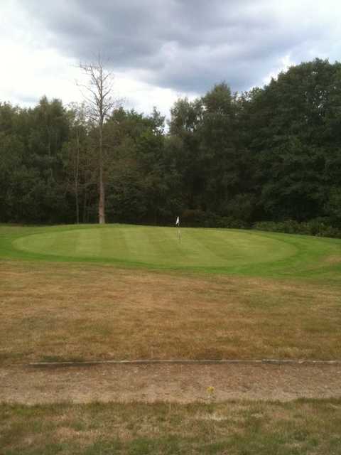 Chiddingfold Golf Club