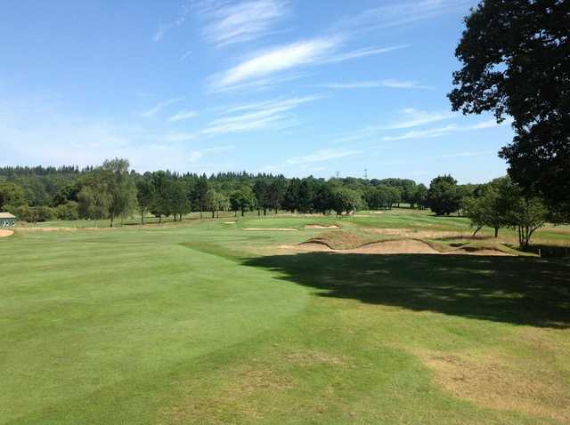 The Leatherhead Club - photo 2