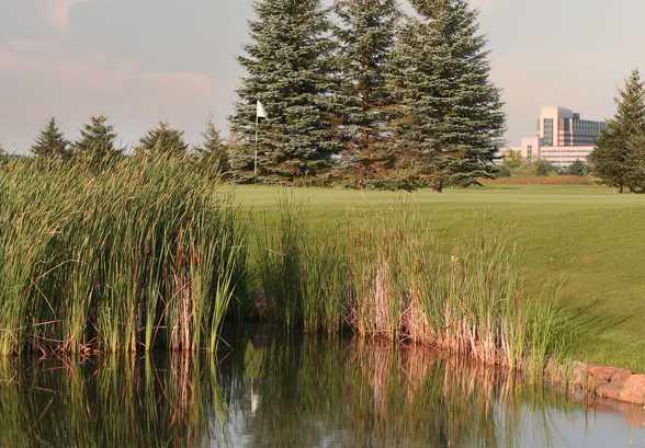 Grand National Golf Club - photo 2
