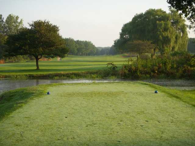 Oak Club of Genoa - photo 4