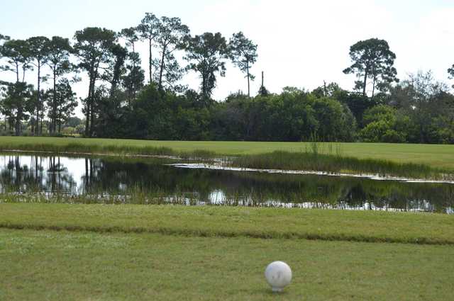 Martin County Golf & Country Club - photo 3