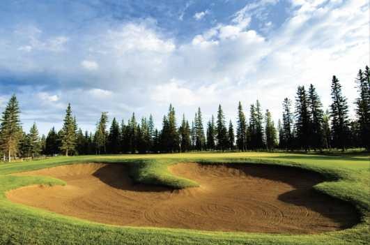 Coyote Creek Golf & RV Resort - photo 4