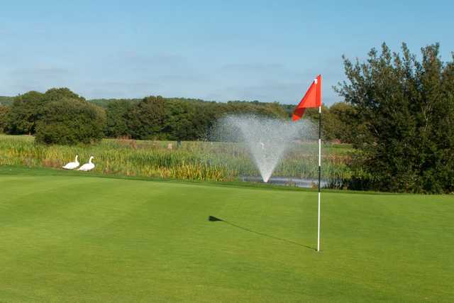 Iford Golf Club - photo 2