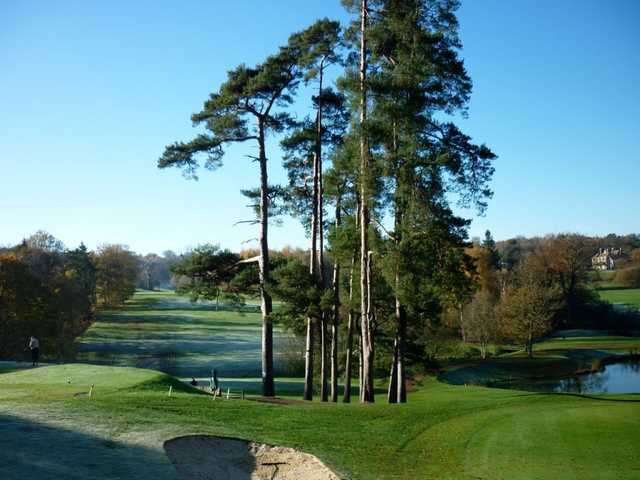 Sweetwoods Park Golf Club - photo 5