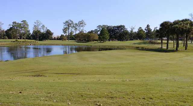 Ocala Golf Club - photo 4