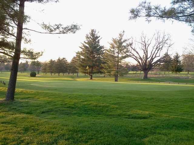 The Pines Golf Course - photo 2