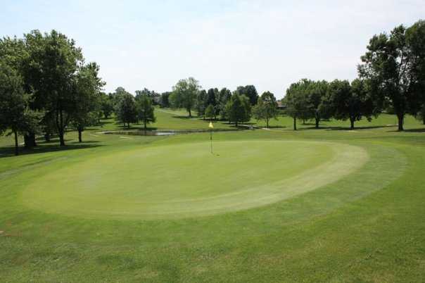 Shirkey - photo 4