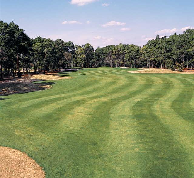 Possum Trot Golf Course - photo 1