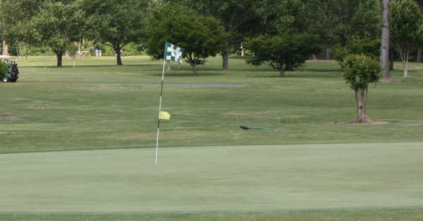Dublin Country Club - photo 3