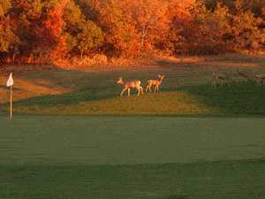 Bountiful Ridge Golf Course - photo 4