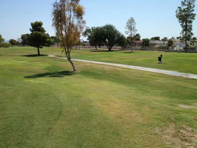 Blythe - photo 5