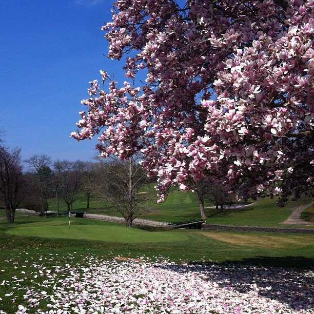Torresdale Frankford Country Club - photo 3