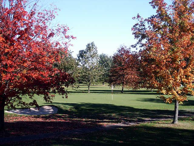 Skyland Pines Golf Club - photo 4