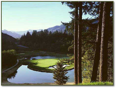Salmon Run - photo 4