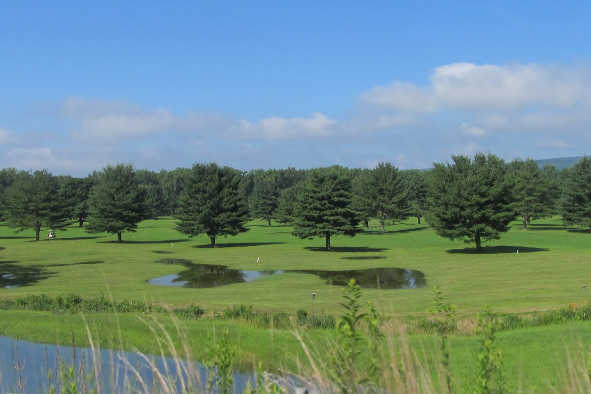 Meadows Golf Course
