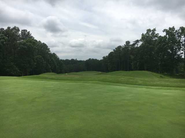 Forest Greens Golf Club - photo 4
