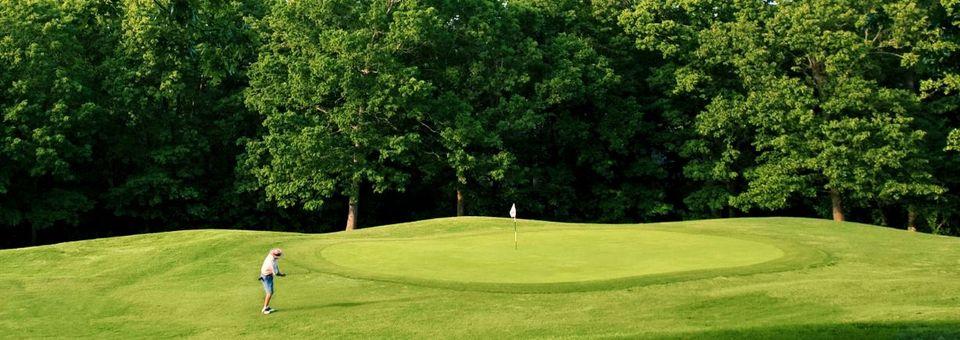 Brittany Golf Course - photo 4