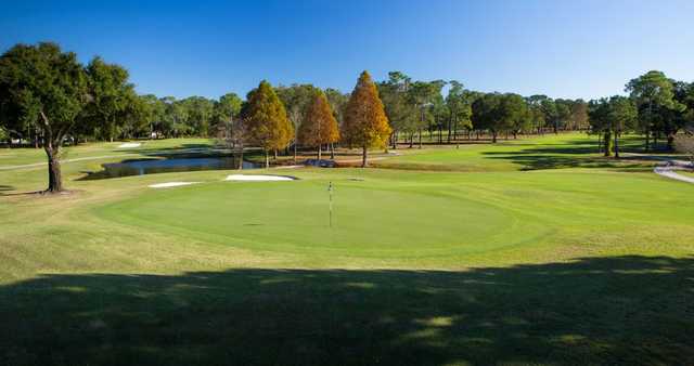 Rio Pinar Golf Club - photo 8