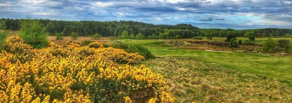 Lanark Golf Club - photo 8