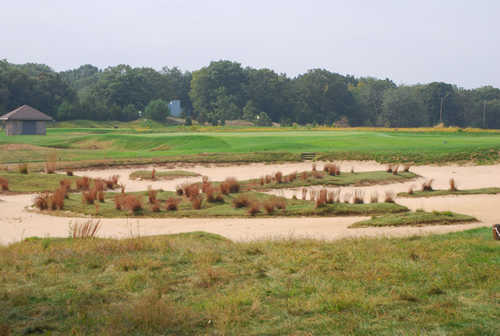 Tallgrass - photo 8