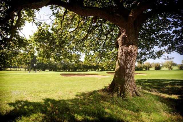 Chestfield Golf Club - photo 3