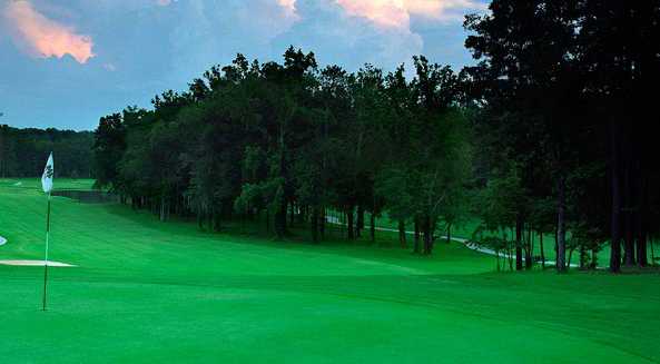 Par 3 Course at RiverPines - photo 4