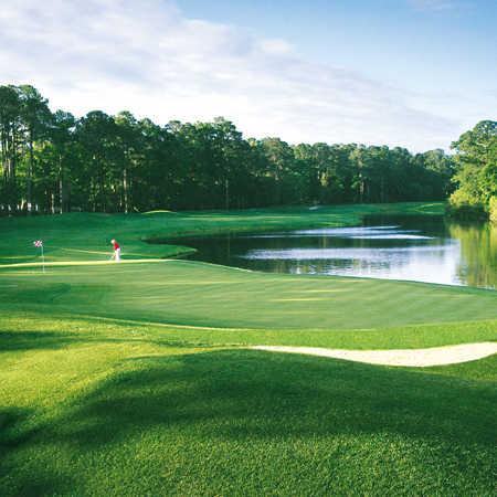 Palmetto Hall Plantation Club - Robert Cupp Course - photo 6