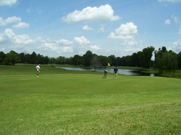 Tallapoosa Lakes Golf Course - photo 4