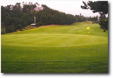 Manzanita Golf Course - photo 7