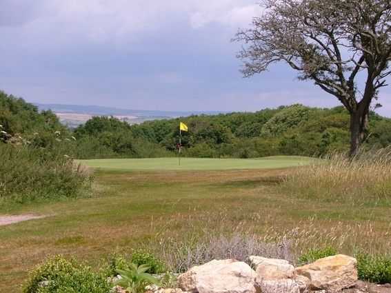 Came Down Golf Club - photo 5