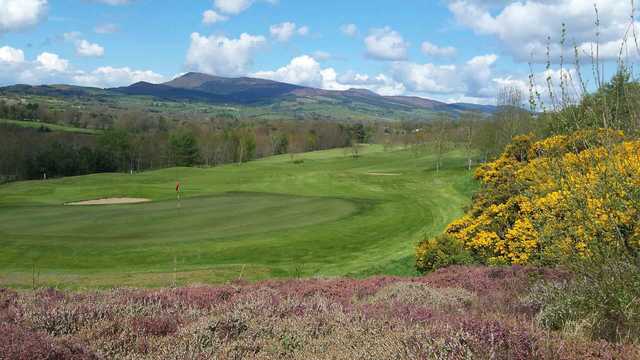 Mitchelstown Golf Club - photo 3