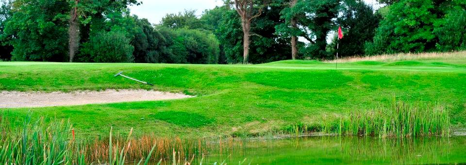 Newcastle West Golf Club - photo 4