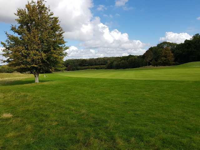 Dummer Golf Club - photo 2