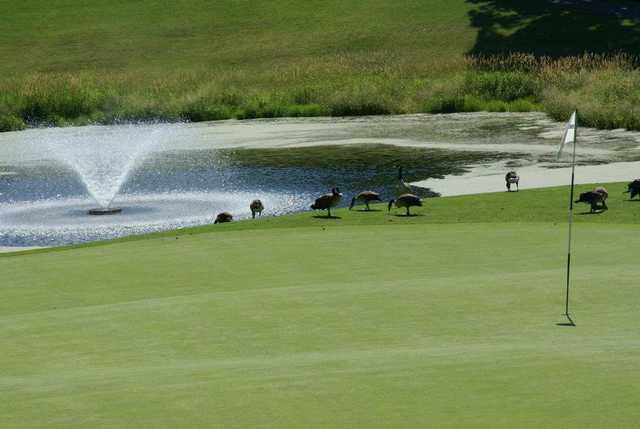 Baker National Golf Course - photo 1
