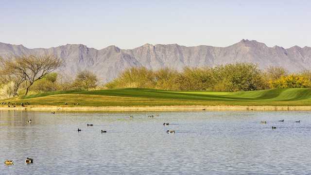 Whirlwind Golf Club- Devil's Claw - photo 3