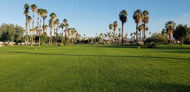 Mesquite - photo 6