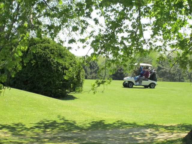 Turtle Greens Golf Course - photo 3
